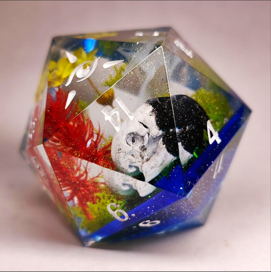 Psittacidae - 40mm D20 Chonk