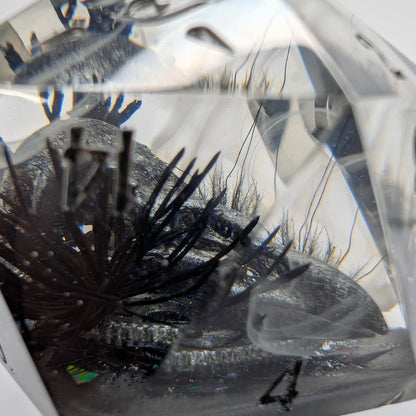 Darkness There and Nothing More Goth Edition - 40mm D20 Chonk