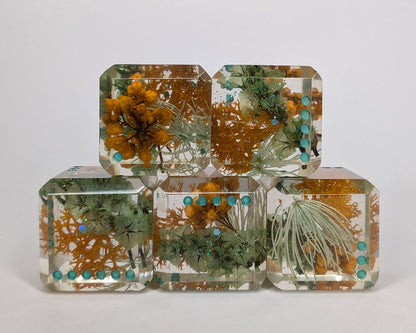 Hærfest Embrace - Single D6 Pip